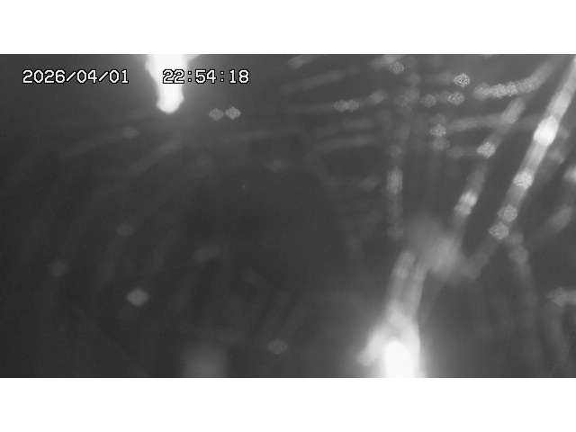 取得できませんでした