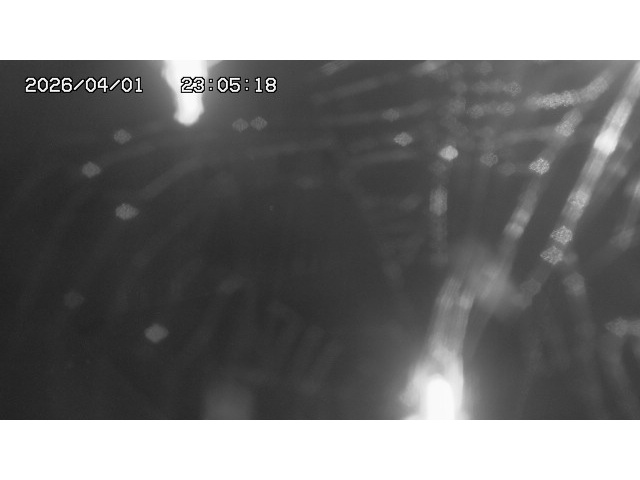 取得できませんでした