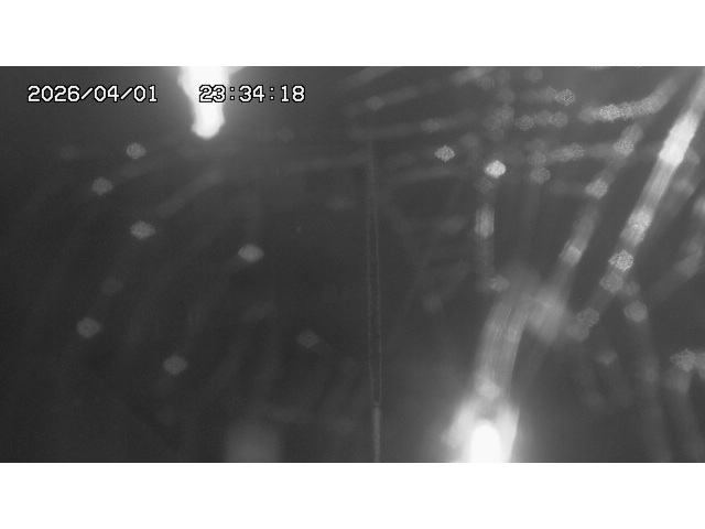 取得できませんでした