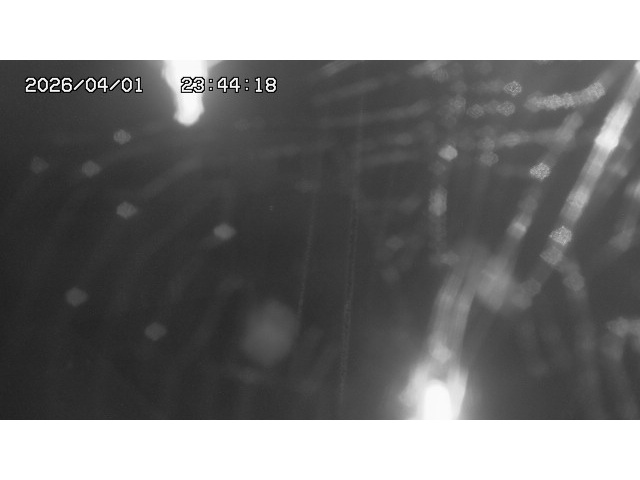 取得できませんでした