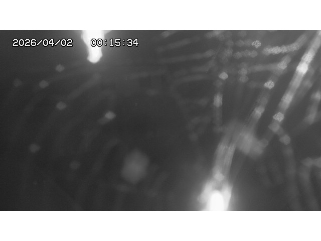 取得できませんでした