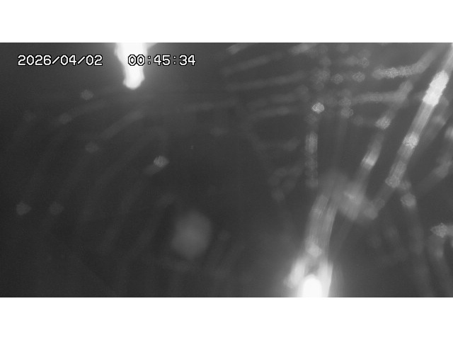 取得できませんでした