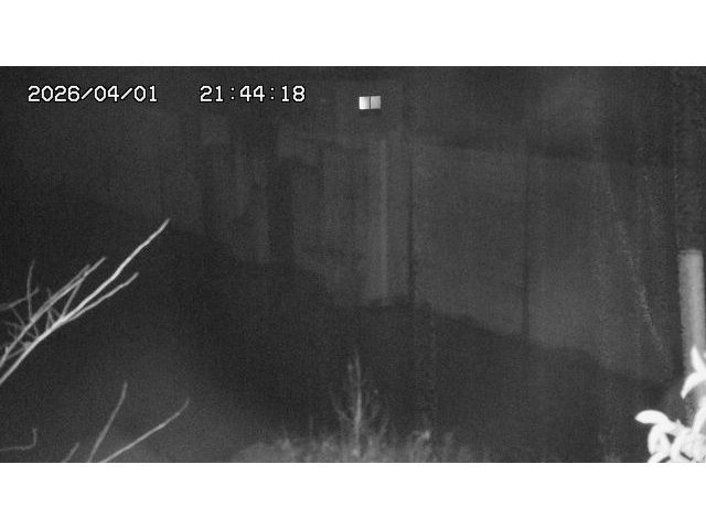 取得できませんでした