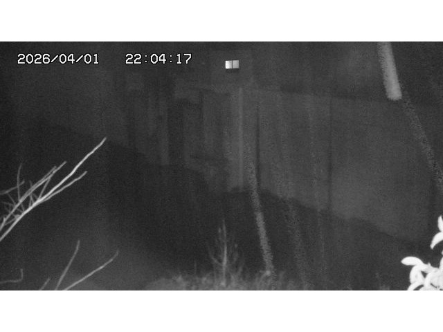 取得できませんでした