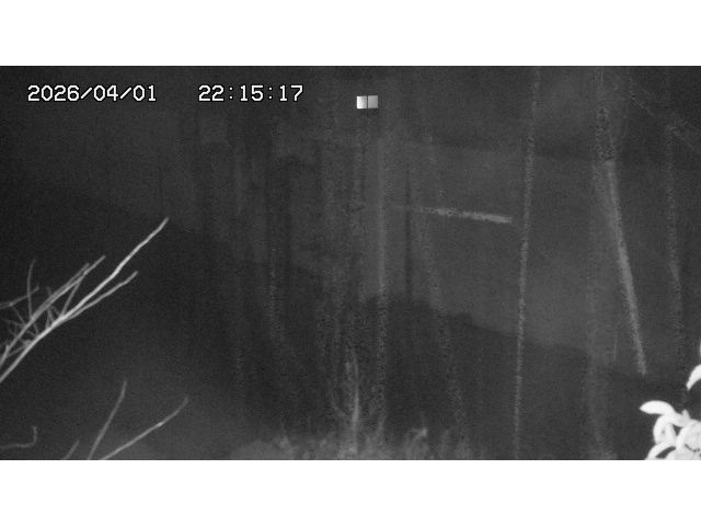 取得できませんでした