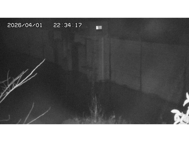 取得できませんでした