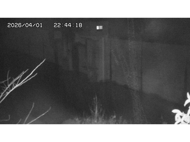 取得できませんでした