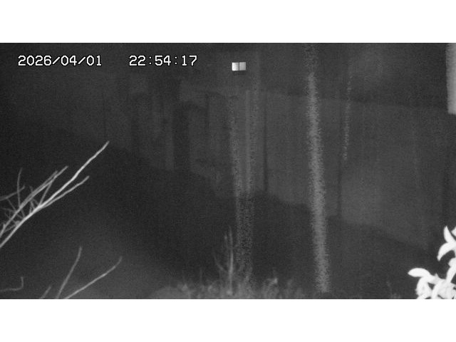 取得できませんでした