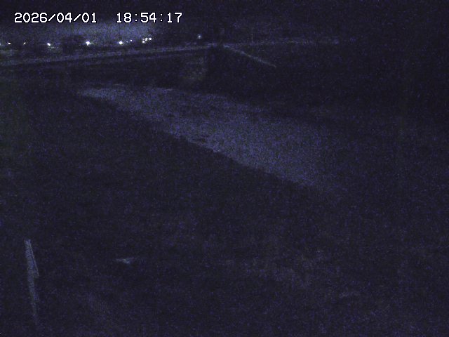 取得できませんでした