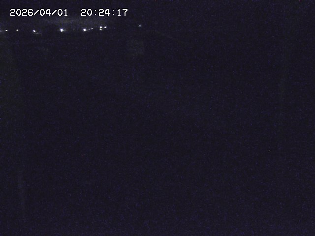 取得できませんでした