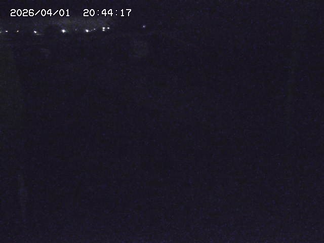 取得できませんでした