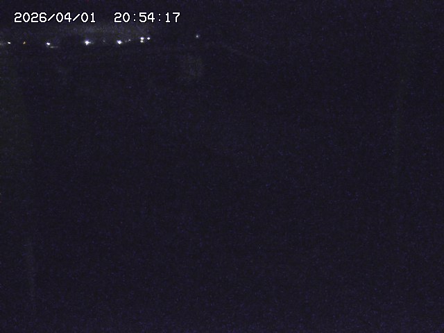 取得できませんでした