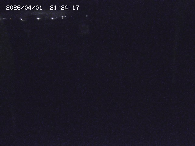 取得できませんでした