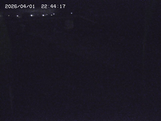 取得できませんでした