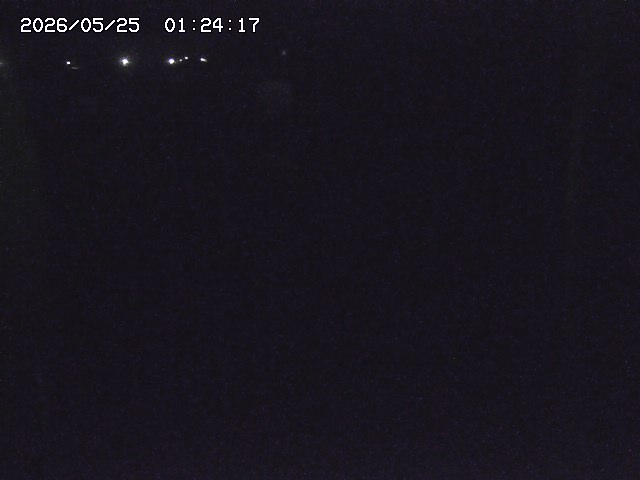 取得できませんでした