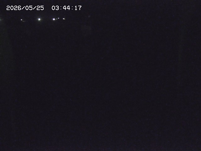 取得できませんでした
