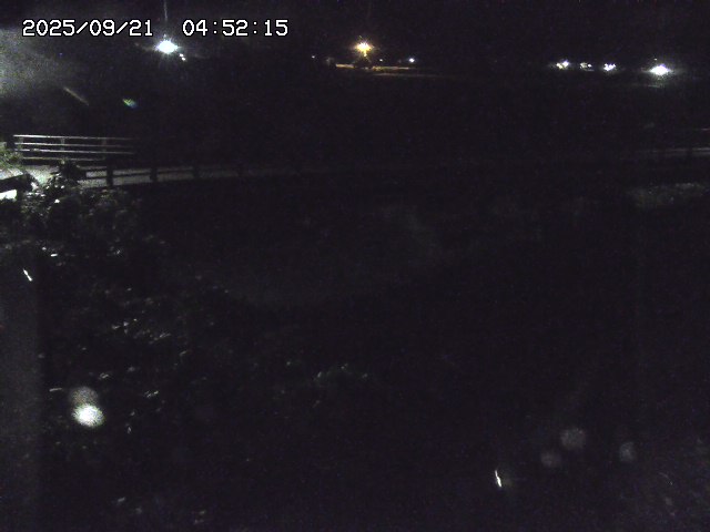 取得できませんでした