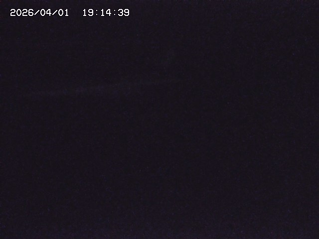 取得できませんでした