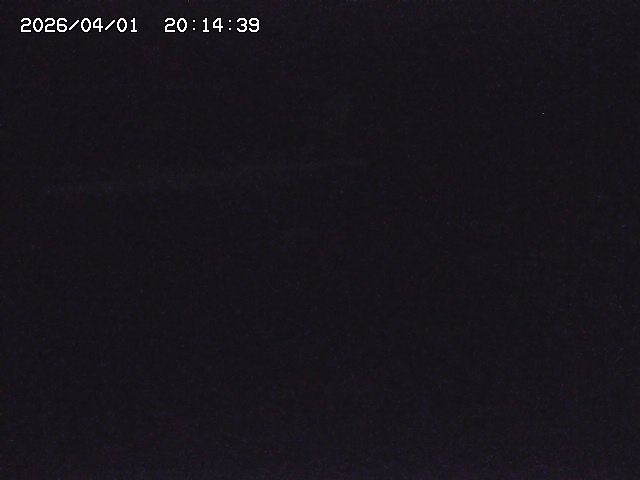 取得できませんでした