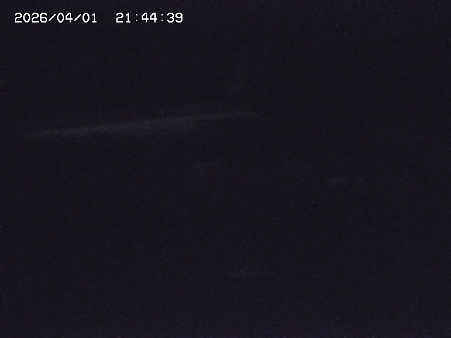 取得できませんでした