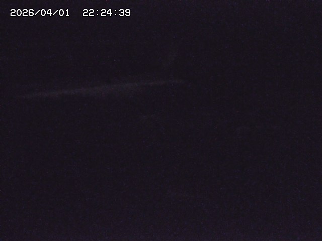 取得できませんでした