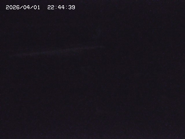 取得できませんでした