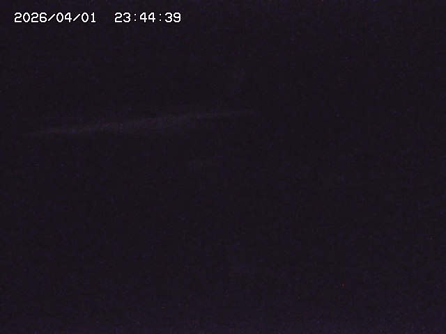 取得できませんでした