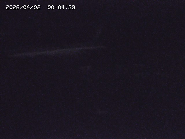 取得できませんでした