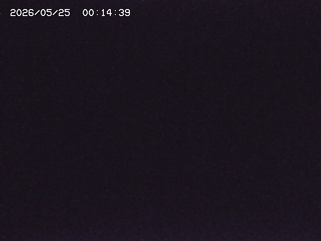 取得できませんでした