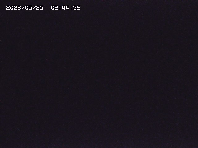 取得できませんでした
