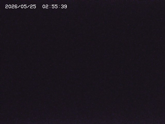取得できませんでした