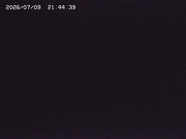 取得できませんでした