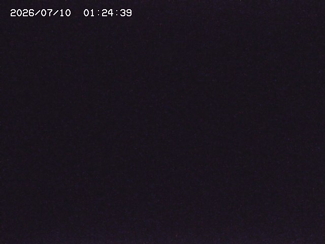 取得できませんでした