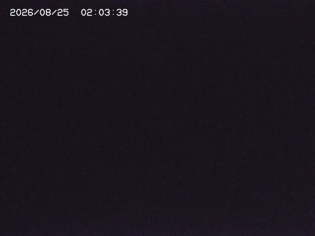 取得できませんでした