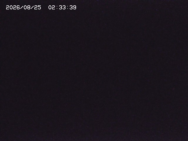 取得できませんでした