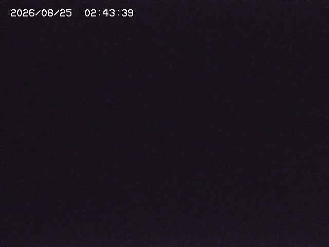 取得できませんでした