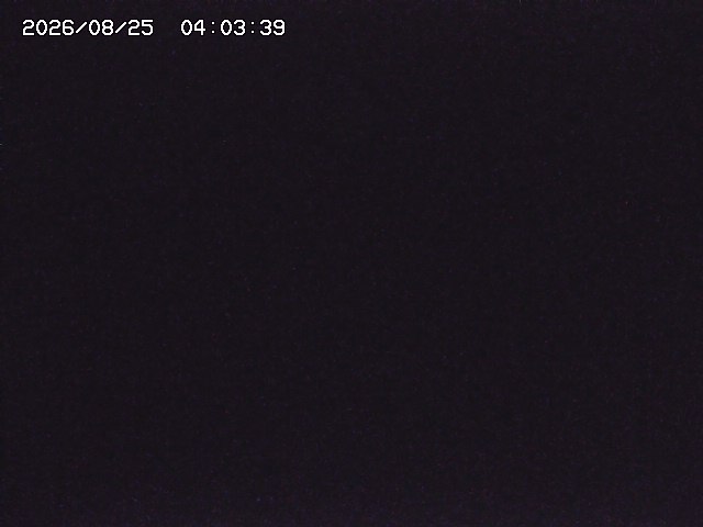 取得できませんでした