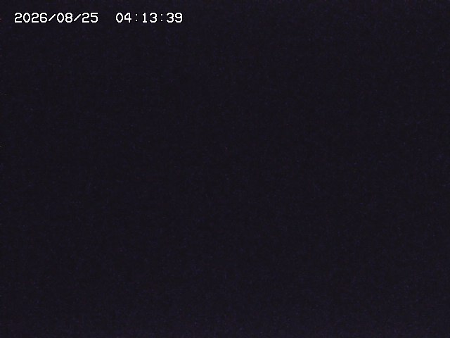 取得できませんでした