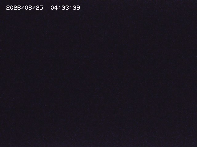 取得できませんでした