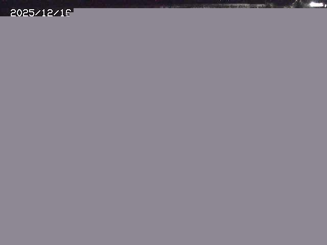 取得できませんでした