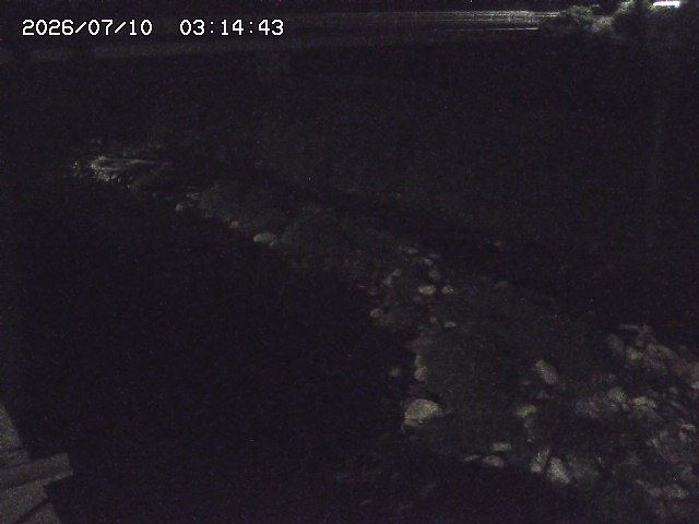 取得できませんでした