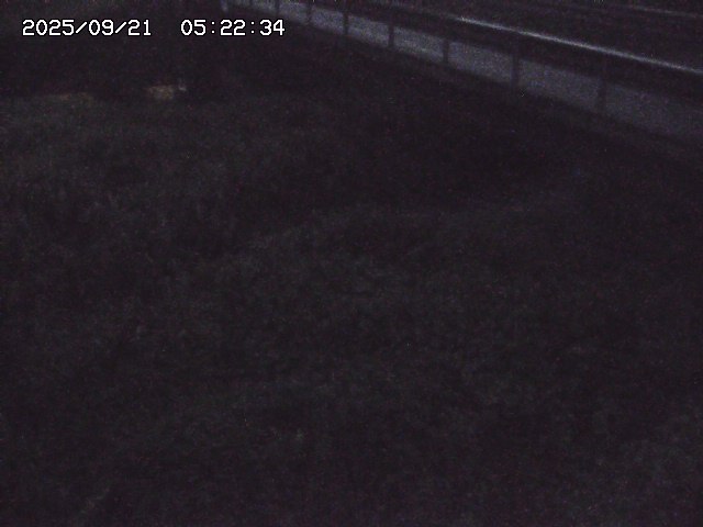 取得できませんでした
