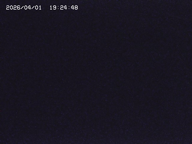 取得できませんでした