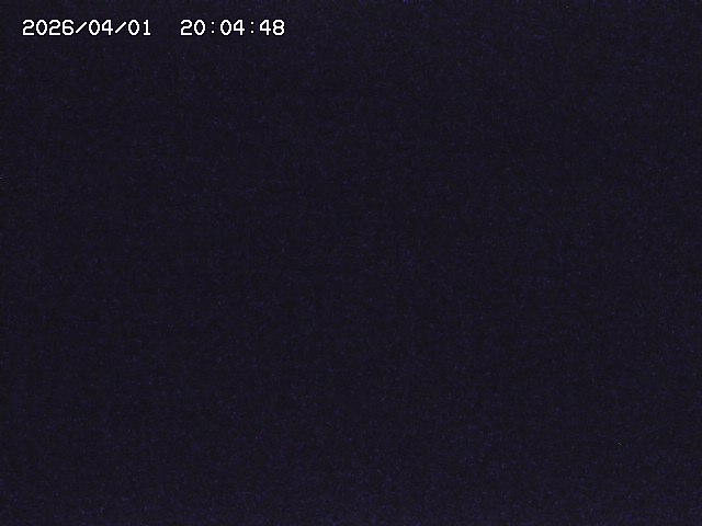 取得できませんでした