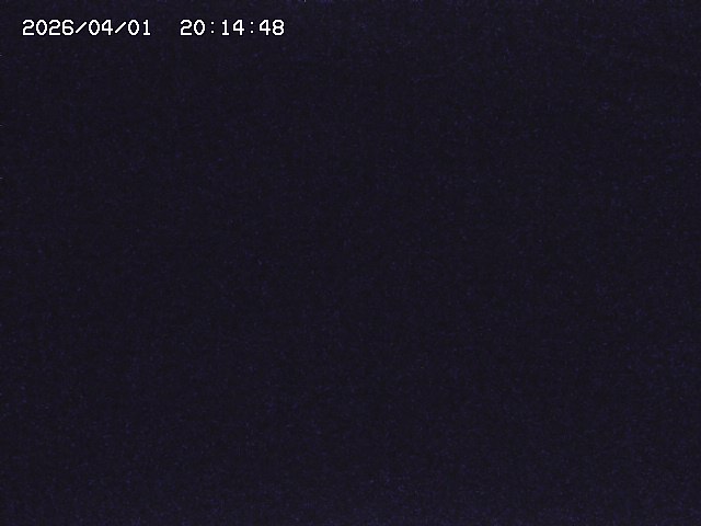 取得できませんでした