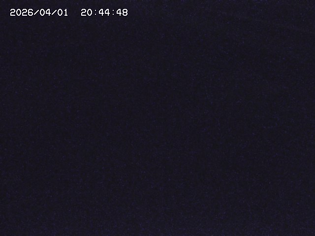 取得できませんでした