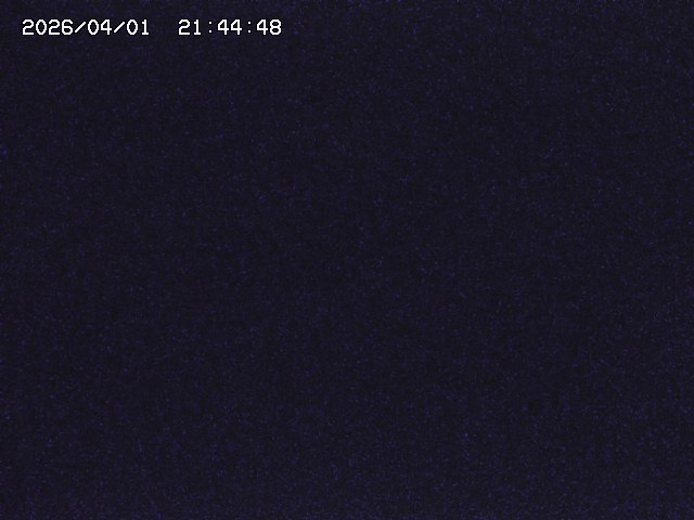 取得できませんでした