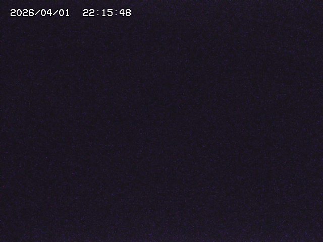 取得できませんでした