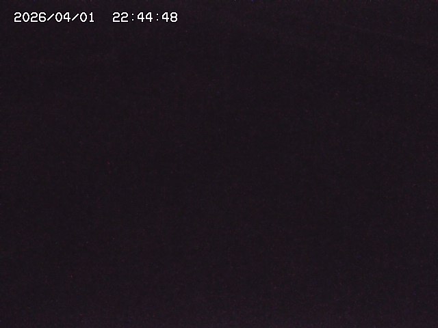 取得できませんでした