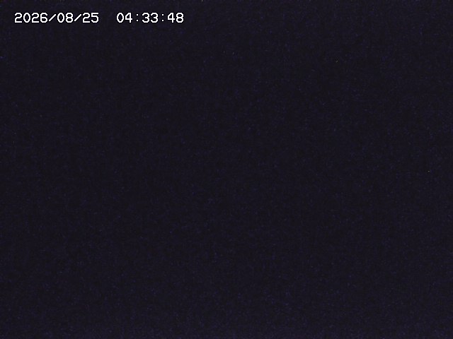 取得できませんでした